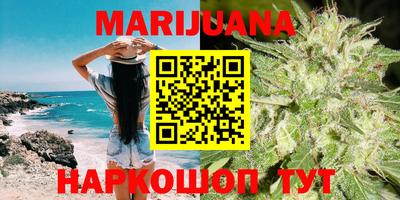 apvp Свободный