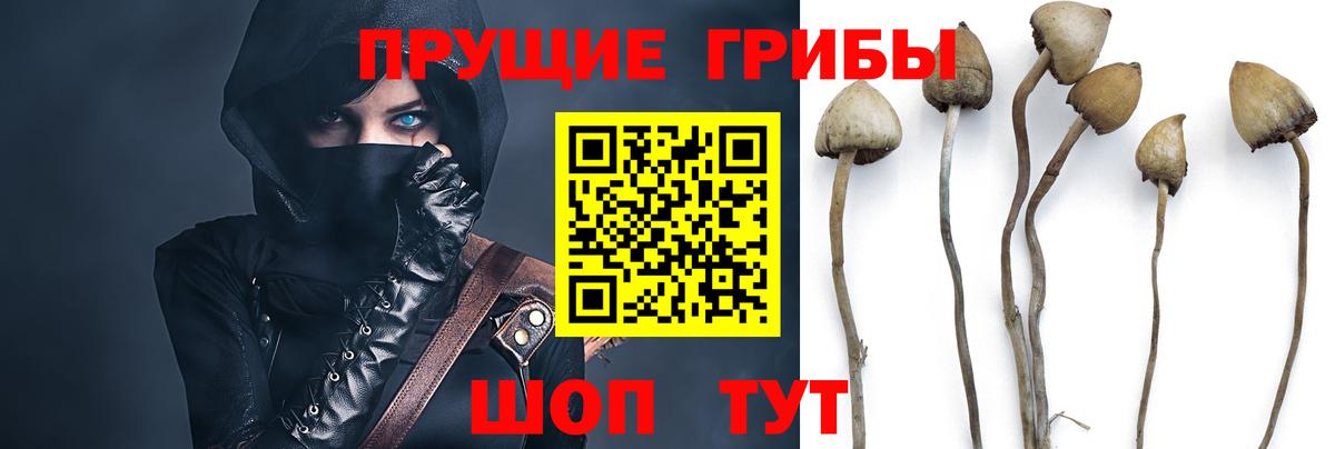 Галлюциногенные грибы Magic Shrooms  Вход с VPN  Ачхой-Мартан 