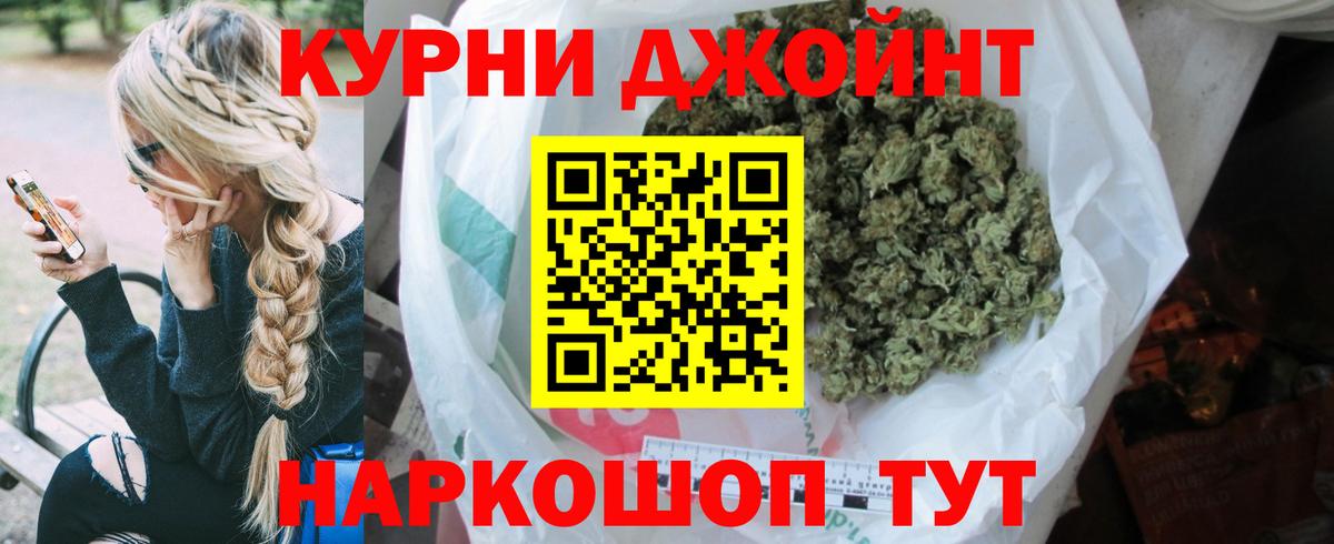 Конопля планчик Ачхой-Мартан